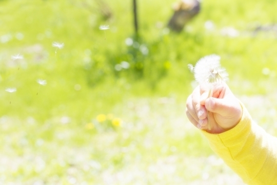 神戸の弁護士が親権を解説します 神戸の弁護士 かがやき法律事務所