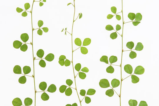 離婚に伴うお金の問題 神戸の弁護士 かがやき法律事務所